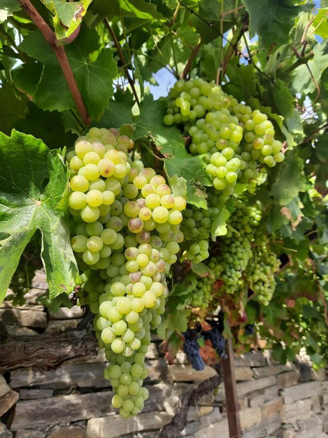 Quinta Alto Da Fraga Villa Вила Нова ди Фош Коа Екстериор снимка
