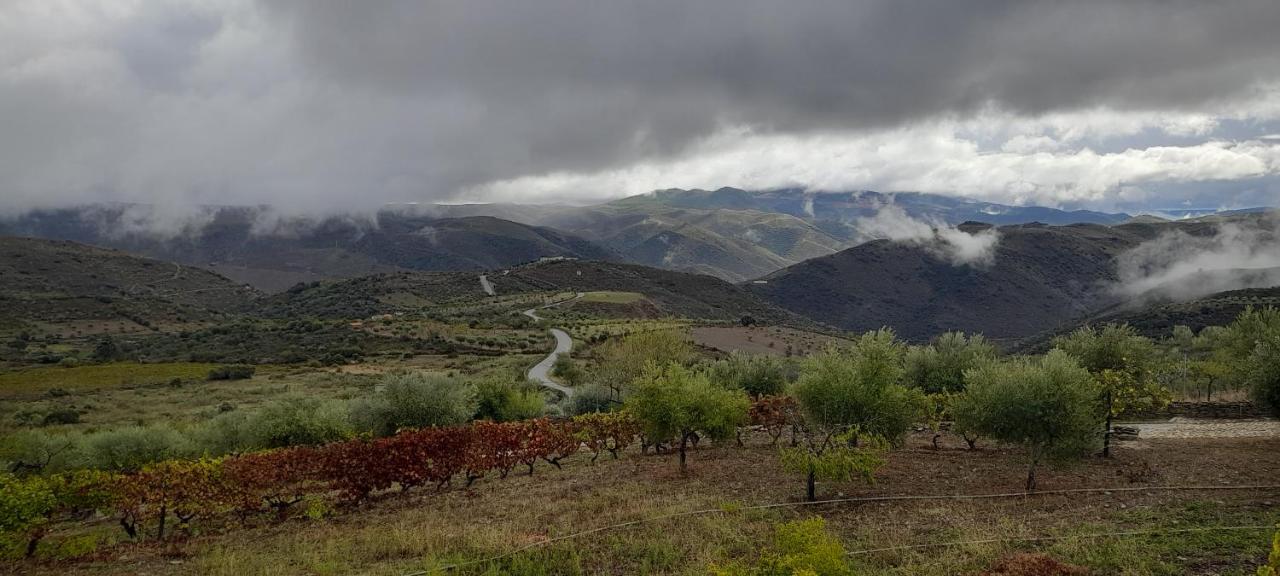 Quinta Alto Da Fraga Villa Вила Нова ди Фош Коа Екстериор снимка