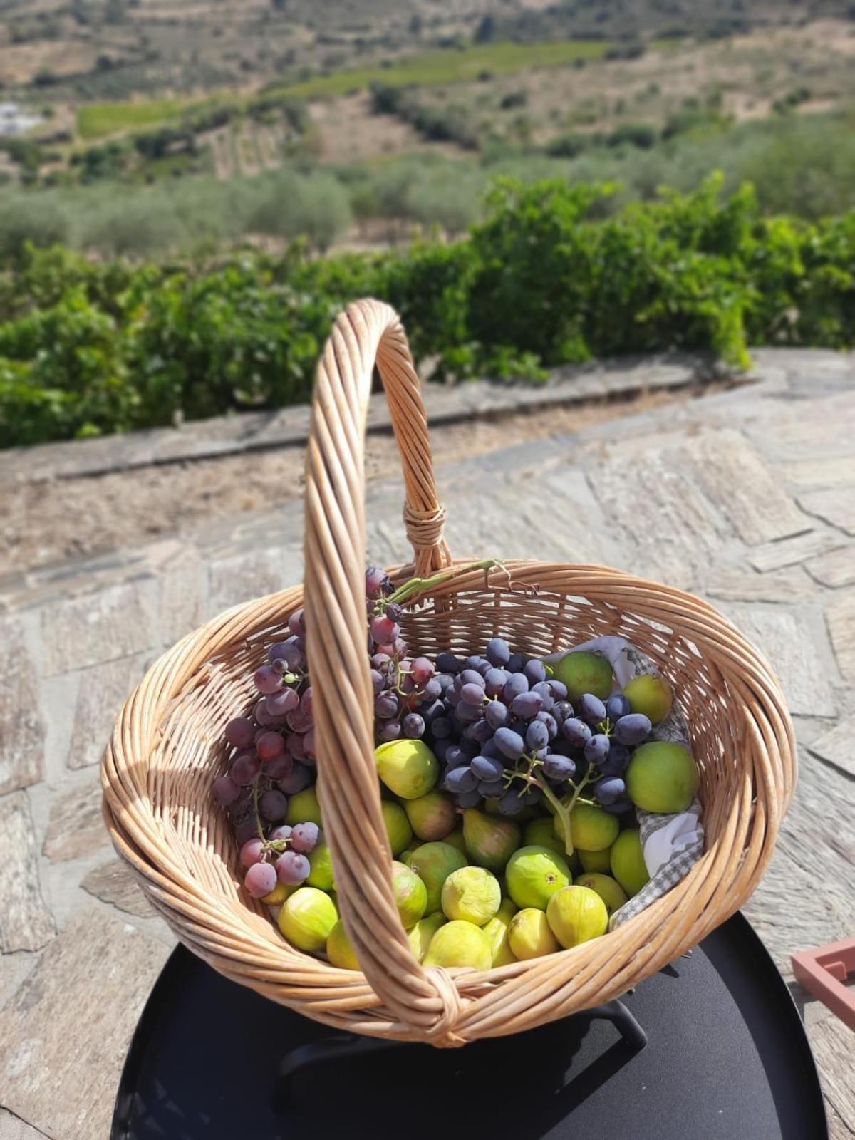 Quinta Alto Da Fraga Villa Вила Нова ди Фош Коа Екстериор снимка